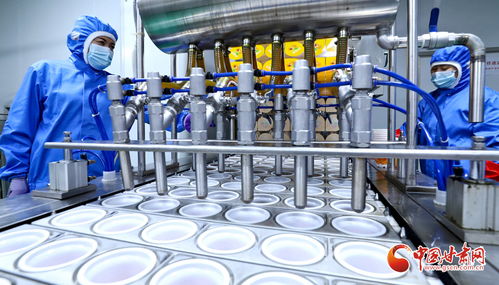 臨澤 科技賦能 小特產(chǎn) 升級(jí) 大產(chǎn)業(yè)