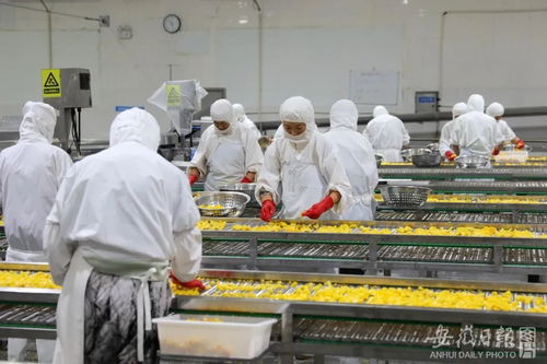 加快建設 七個強省 ⑧ 做好 糧頭食尾 畜頭肉尾 農頭工尾 增值大文章