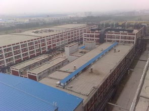 大化纖縫紉線 化纖廠的核心原料與終端應用解析